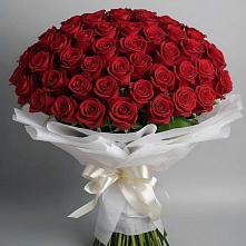 Букет 101 Красная роза Блэк Мэджик в Псыгансу