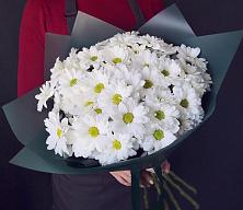Букет цветов из:  Хризантемы #REPLACE_PRED# Псыгансу