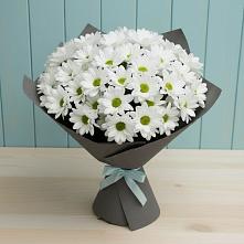 Букет цветов из:  Хризантемы #REPLACE_PRED# Псыгансу