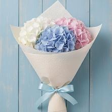 Букет цветов из:  Гортензия в Псыгансу