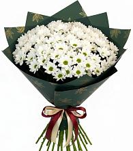 Букет цветов из:  Хризантемы в Псыгансу