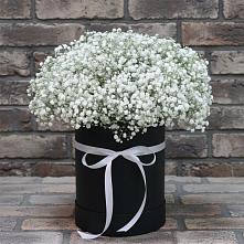 Цветочная композиция из Гипсофила в шляпной коробке #REPLACE_PRED# Псыгансу