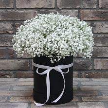 Цветочная композиция из Гипсофила в шляпной коробке в Псыгансу
