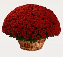 Премиум букет из: Розы в Псыгансу