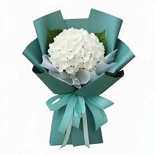 Букет цветов из:  Гортензия в Псыгансу